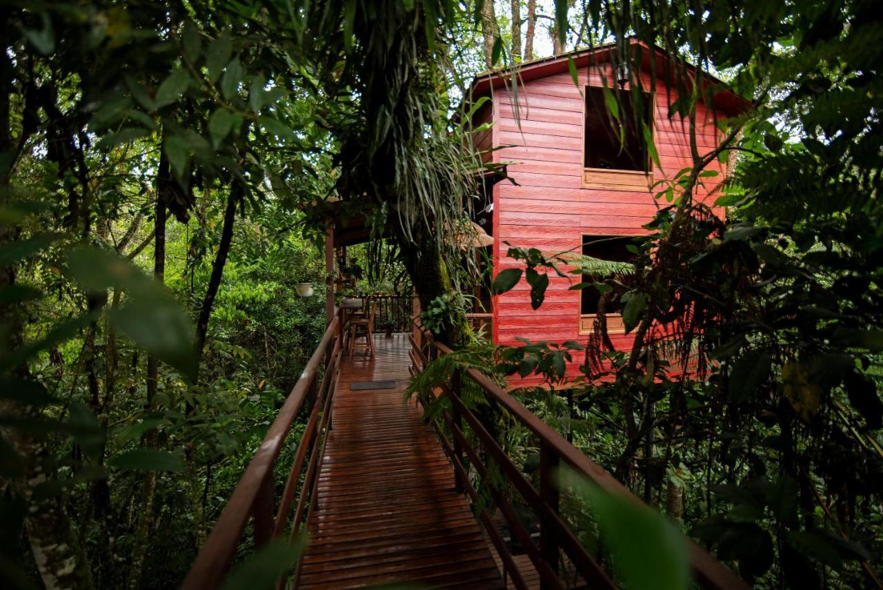 Tominejo Ecolodge - Casas En Los Arboles Neira Exterior foto