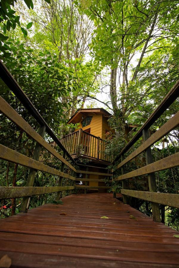 Tominejo Ecolodge - Casas En Los Arboles Neira Exterior foto