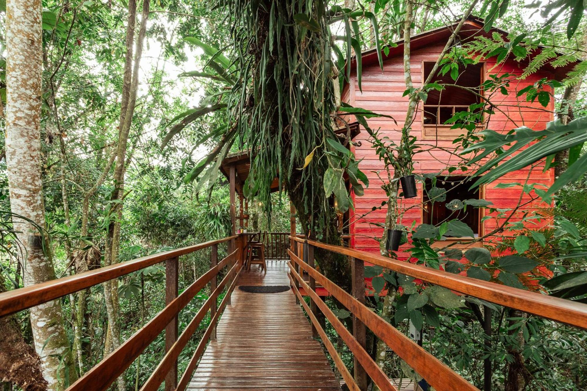 Tominejo Ecolodge - Casas En Los Arboles Neira Exterior foto