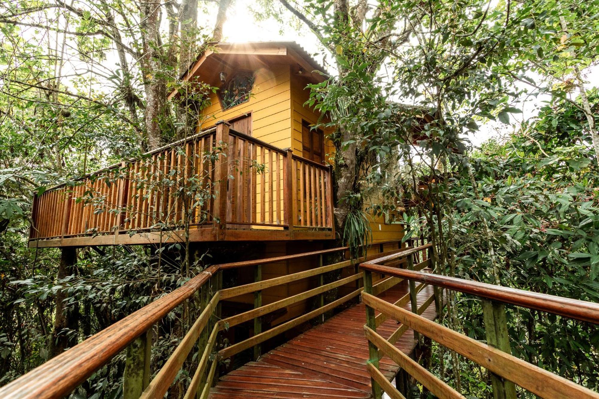 Tominejo Ecolodge - Casas En Los Arboles Neira Exterior foto
