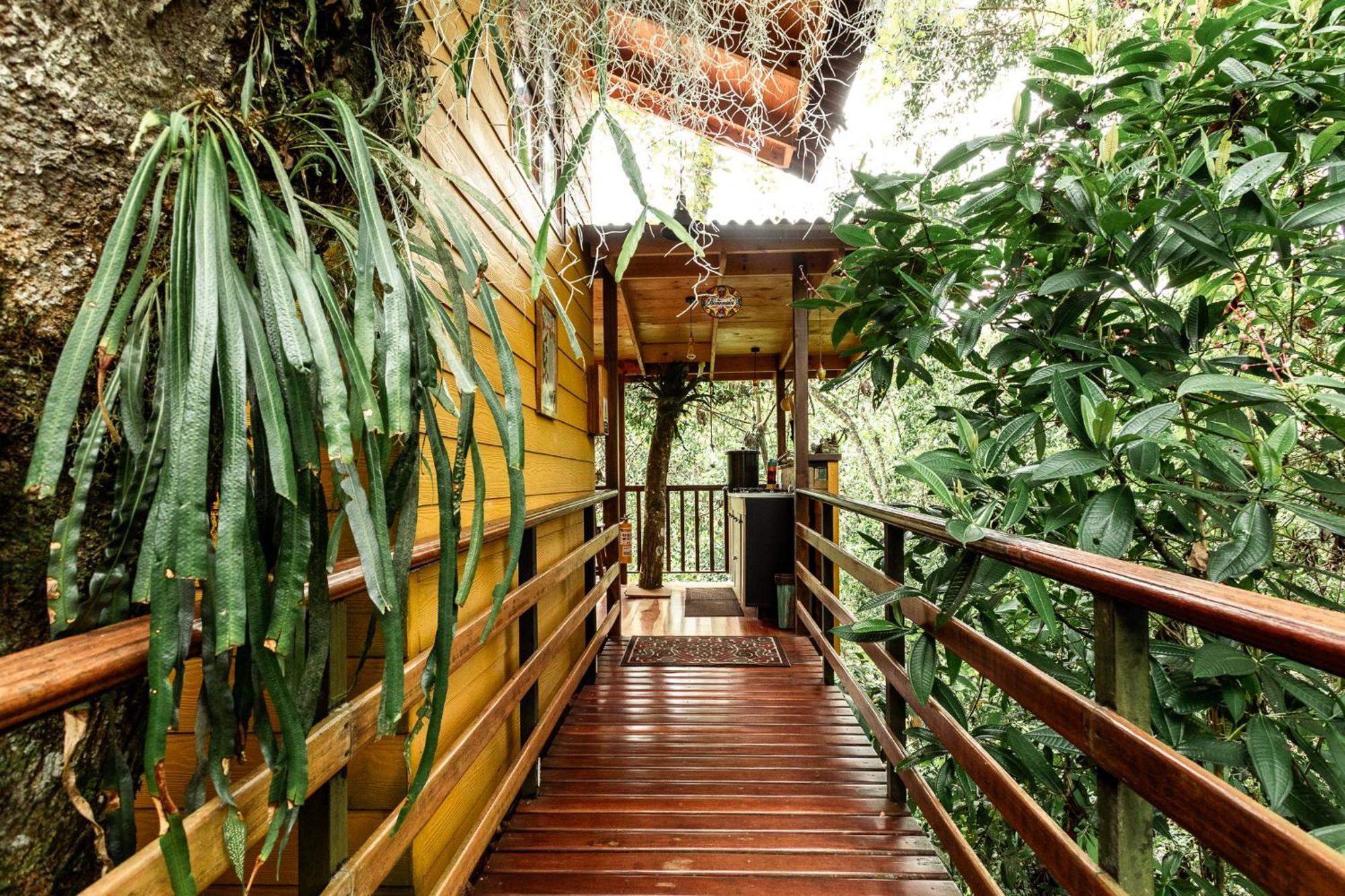 Tominejo Ecolodge - Casas En Los Arboles Neira Exterior foto