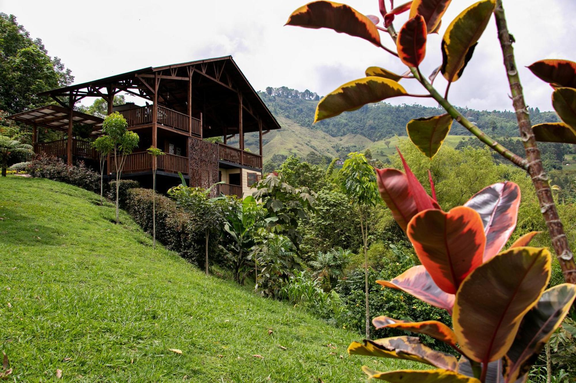Tominejo Ecolodge - Casas En Los Arboles Neira Exterior foto